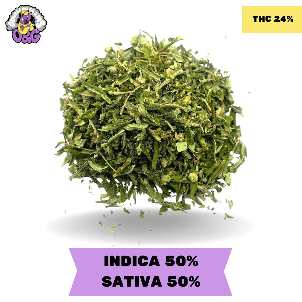 CANNABIS SHAKE CHEAP OUNCE DEALS CANNABIS SHAKE CHEAP OUNCE DEALS