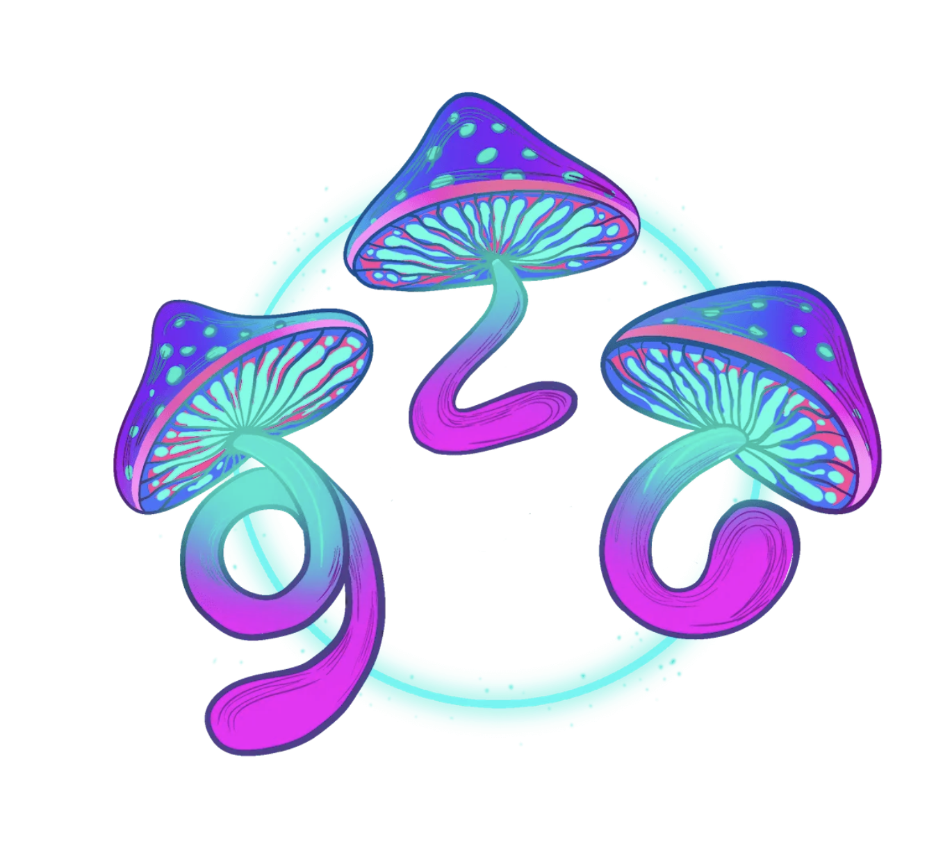 Magic Mushrooms Magic Mushrooms