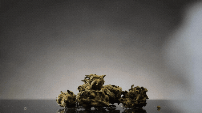 Hashish 6g Bag's (Assorted)