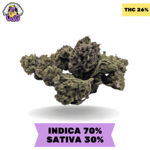 Permanent Marker AAA 3 OZ FOR $180!