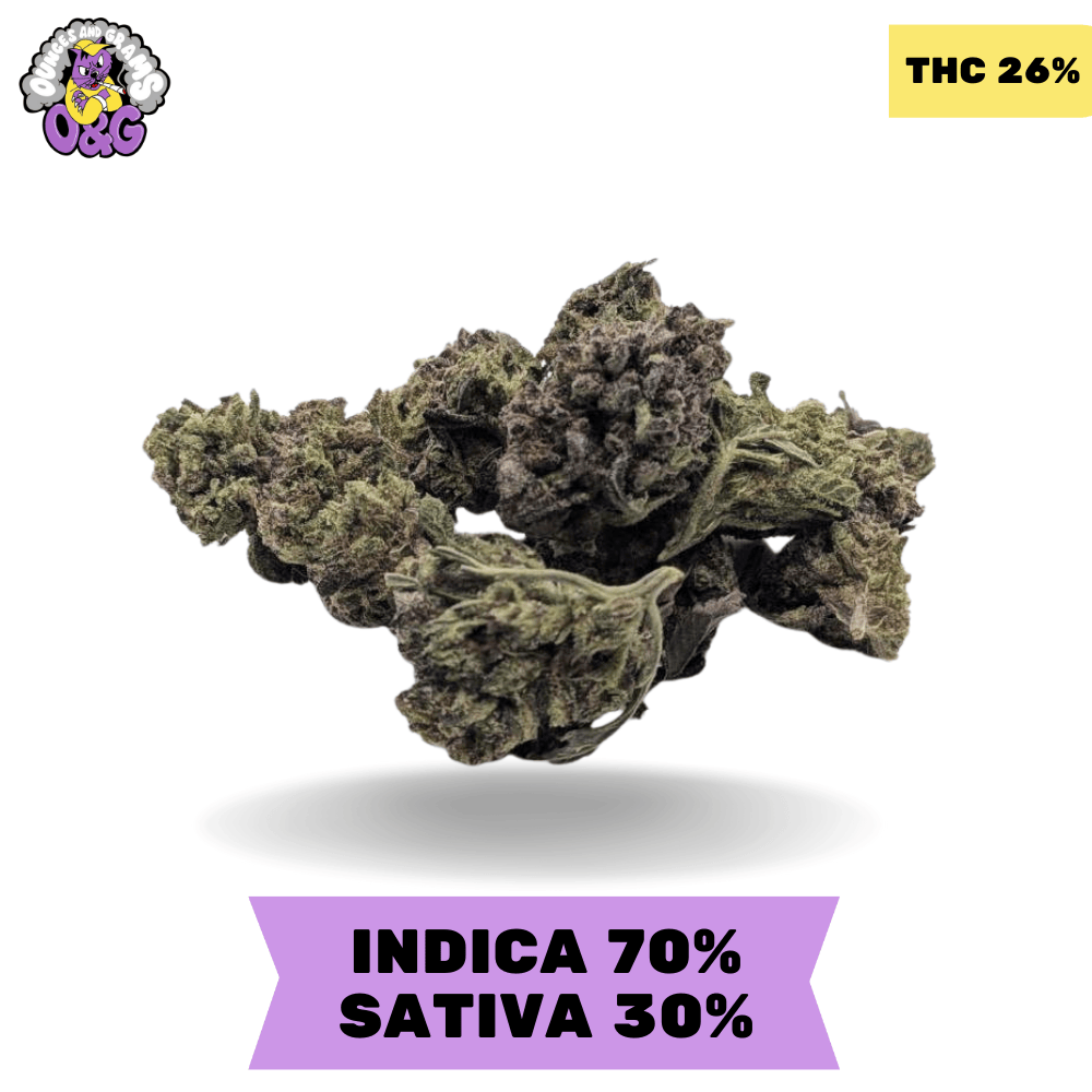 Permanent Marker AAA 3 OZ FOR $180!