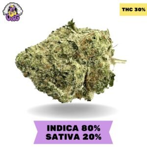 Sticky Icky AAAA+ SUPER STICKY SALE