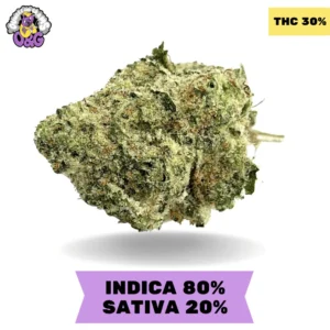 Sticky Icky AAAA+ SUPER STICKY SALE