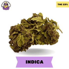 Northern Lights AA+ 3 Oz Deal