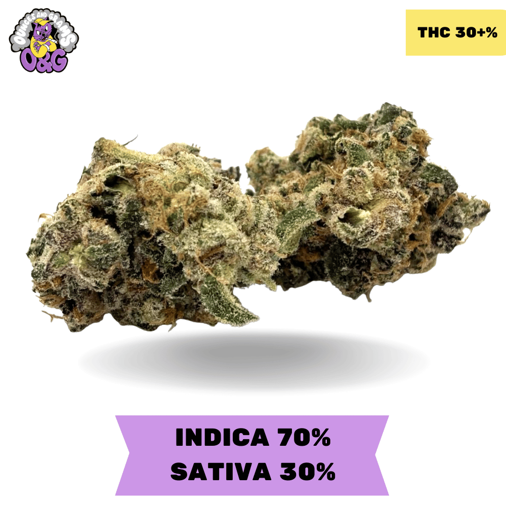 LA Pop Rocks AAAA+ LA Pop Rocks AAAA+