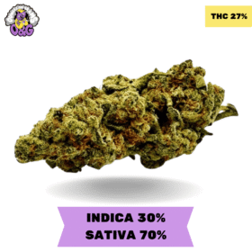 Alaskan Thunder Fuck (ATF) AAAA