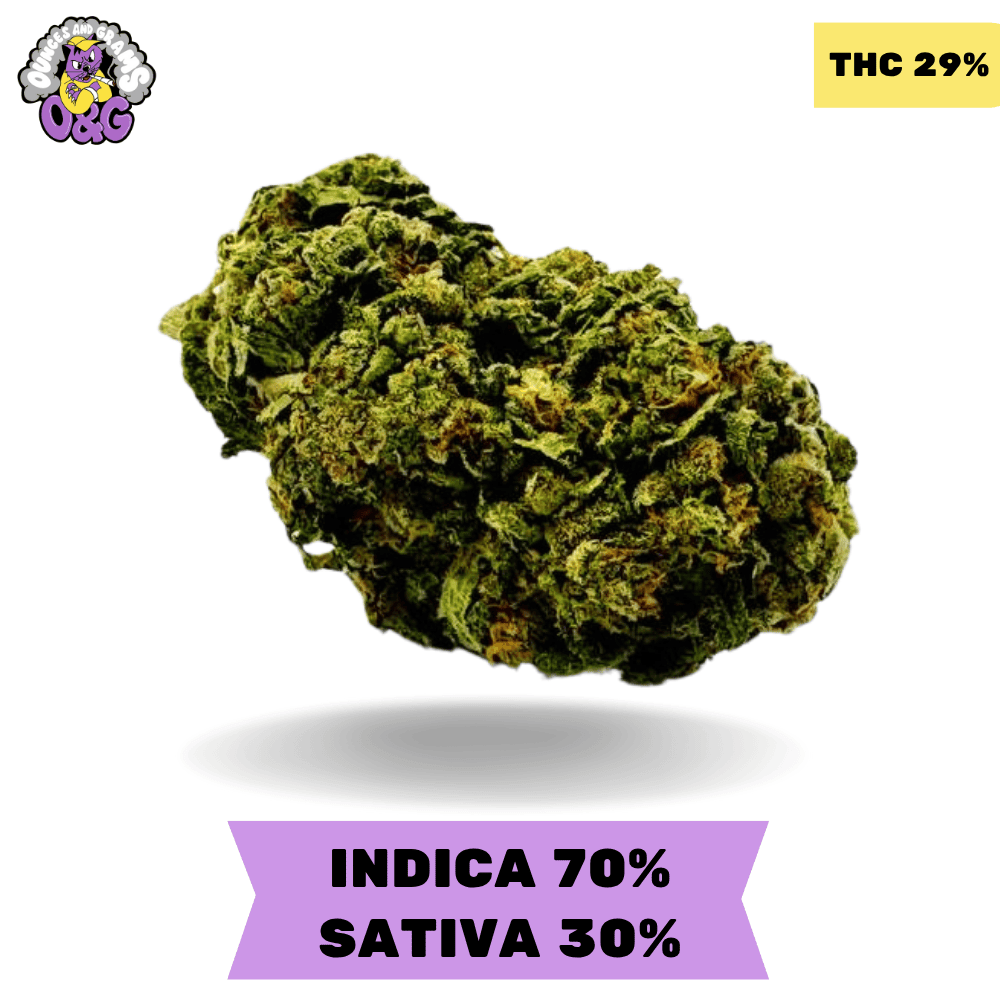 Organic Pink Kush AAAA Organic Pink Kush AAAA