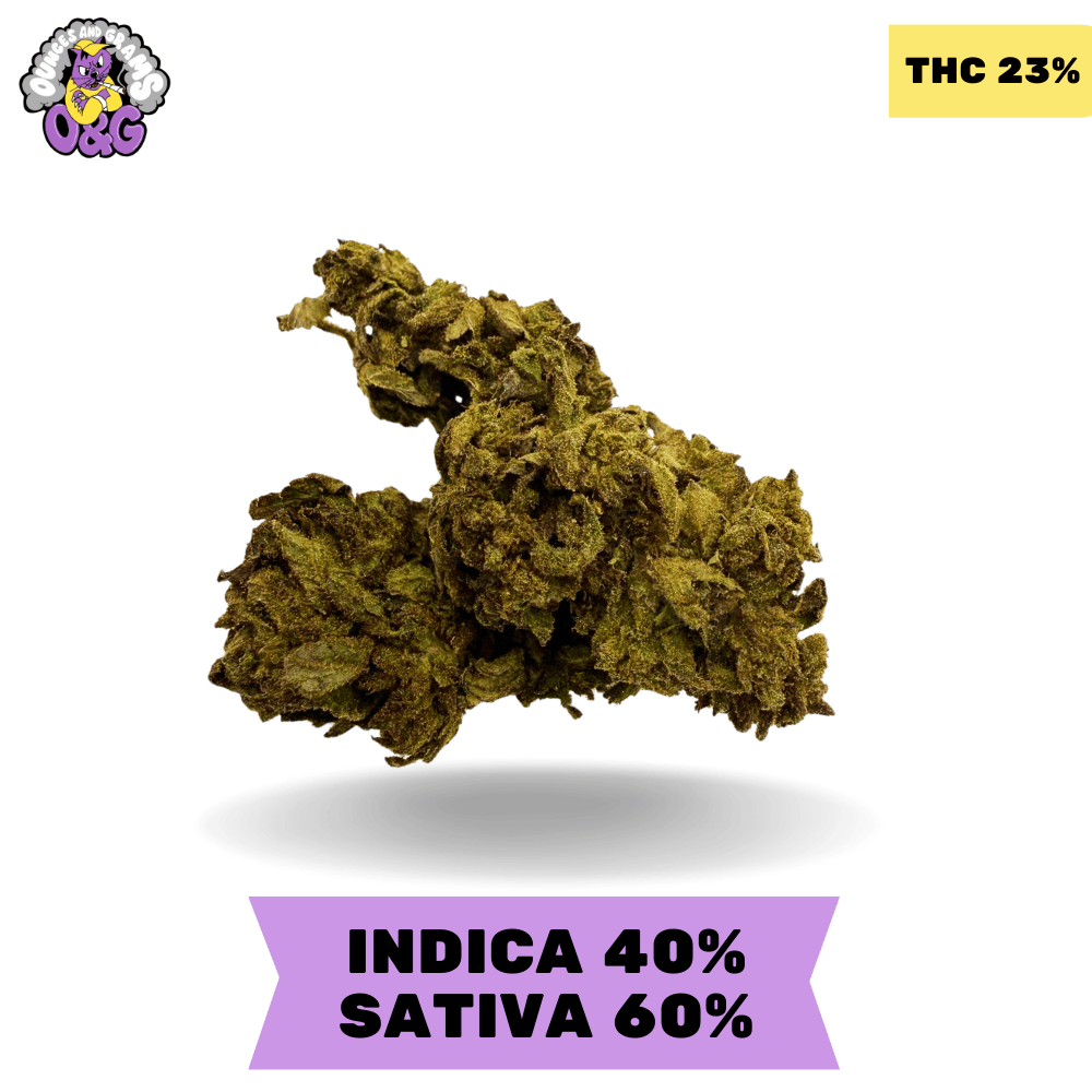 White Widow AAA 3OZ FOR $100 DEAL