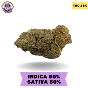 Miracle Alien Cookies (MAC) AAAA