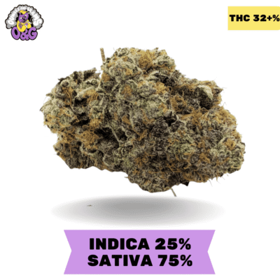 Strawberry Shortcake AAAA+