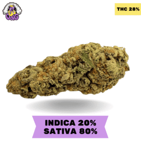 Black Cherry Soda AAAA