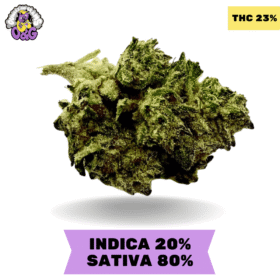 Super Silver Haze AA+