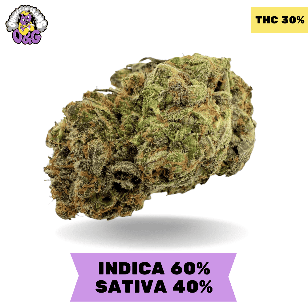 Vanilla Cream Pie AAAA+