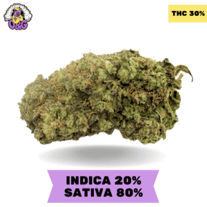 Strawberry Trainwreck AAAA+ Sativa