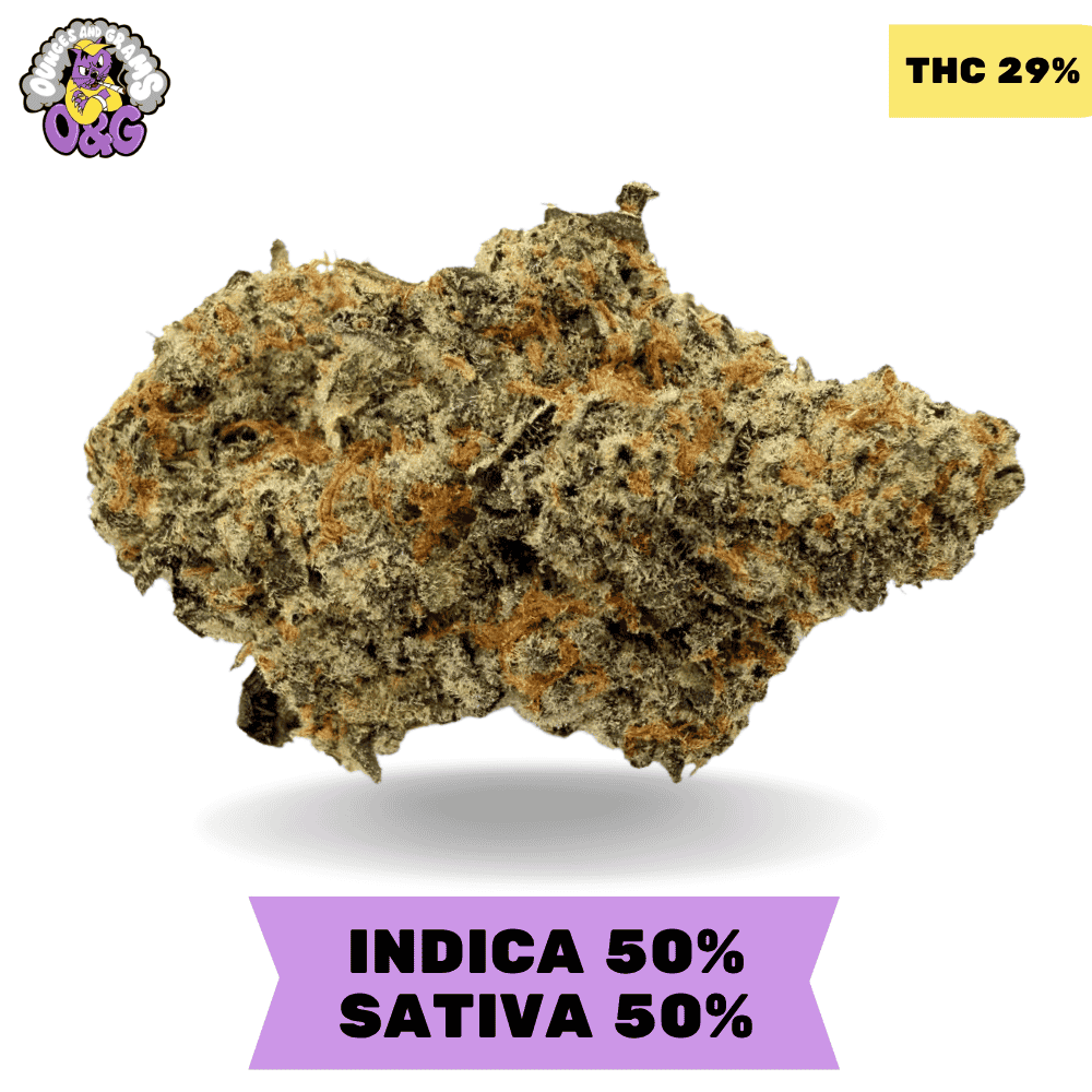 Malibu Marker AAAA Malibu Marker AAAA