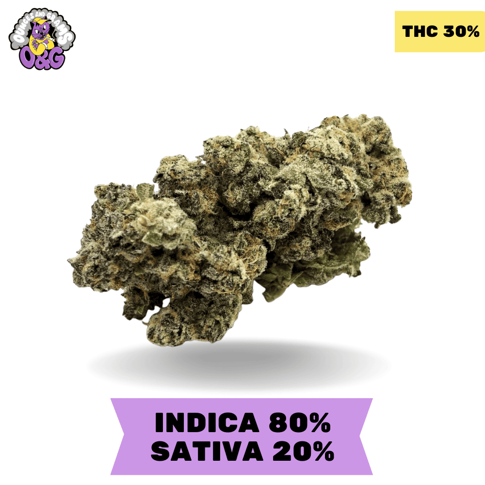 Bubblegum AAAA Bubblegum AAAA