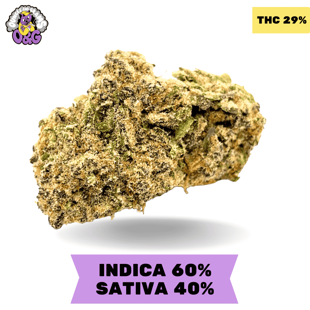 Girl Scout Cookies (GSC) AAAA Girl Scout Cookies (GSC) AAAA