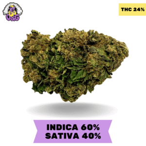 Gorilla Glue AAA+ 3oZ. for $120