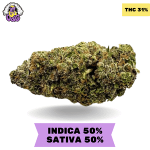 Purple Death Tuna AAAA+