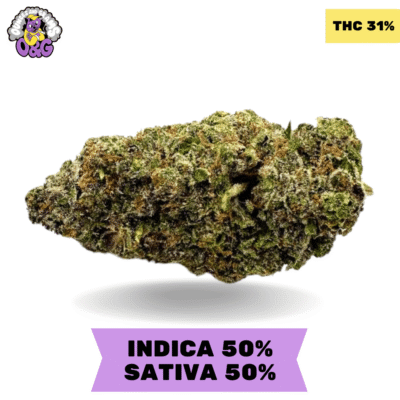 Purple Death Tuna AAAA+