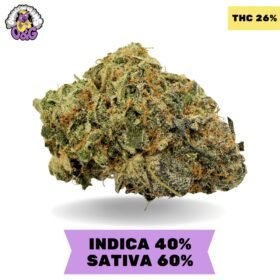 Pineapple Express AAAA