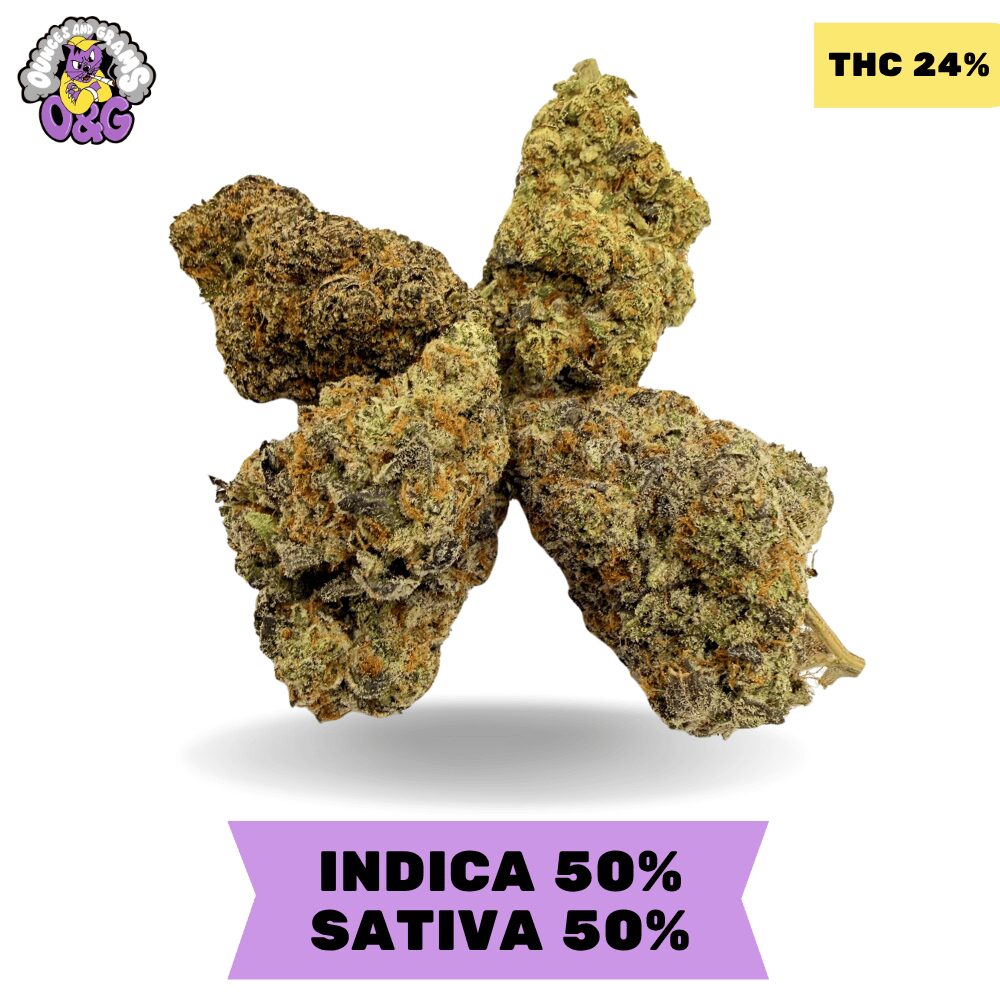 Quad Mix (Grape Runtz x La kush breath x Wedding crasher x Purple candy crasher) AAAA Quad Mix (Grape Runtz x La kush breath x Wedding crasher x Purple candy crasher) AAAA