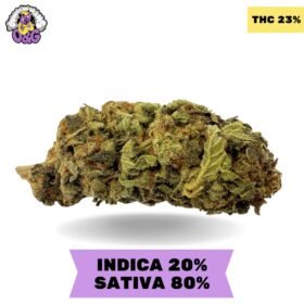 Great White Shark AAA 3.oZ Deal