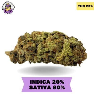 Great White Shark AAA 3.oZ Deal