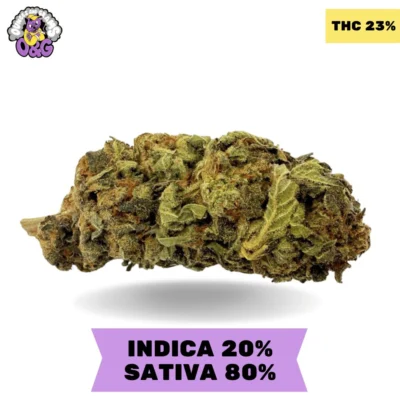 Great White Shark AAA 3.oZ Deal