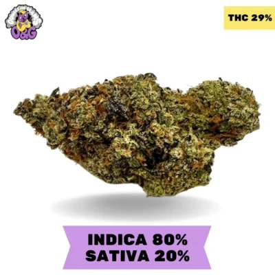 Motorbreath AAAA