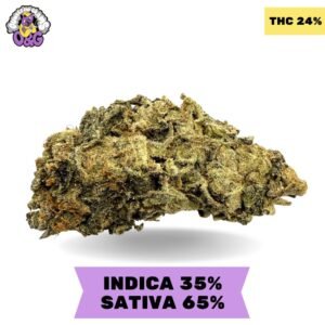 AK-47 AAA