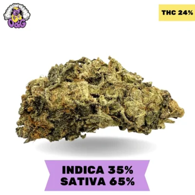 AK-47 AAA