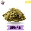 Durban Poison AAA+ Durban Poison AAA+
