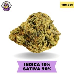 Durban Poison AAA+