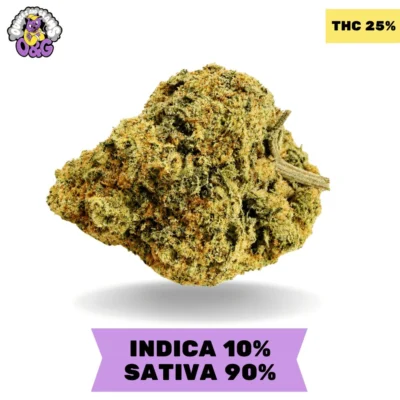 Durban Poison AAA+