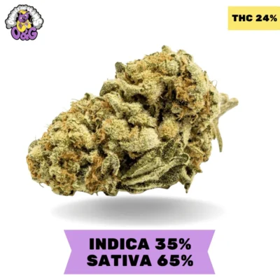 BC Big Bud 3.oZ AAA