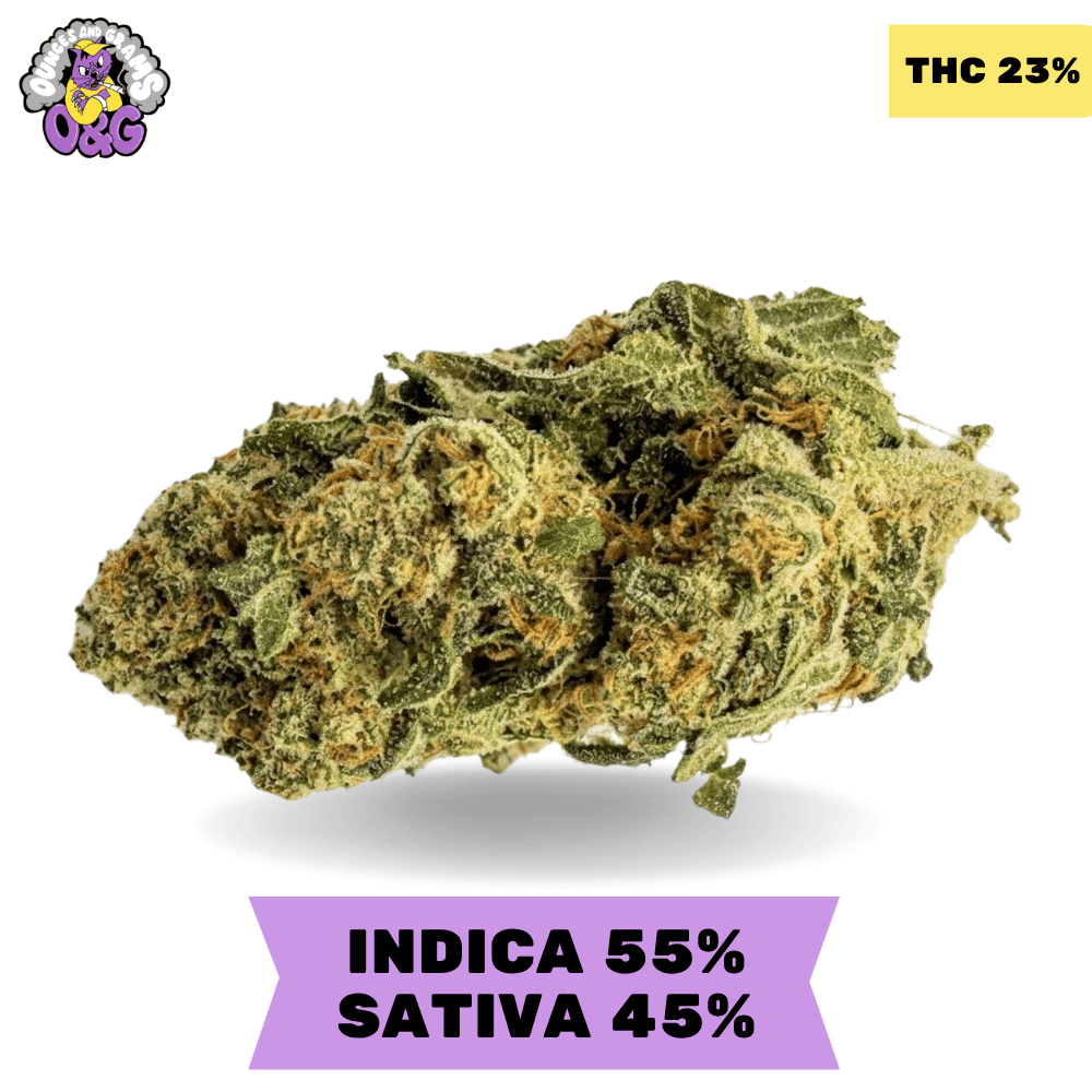 Chemdawg AAA+ Chemdawg AAA+