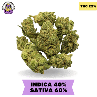 Zprite Smalls AAA